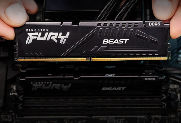 金士頓DDR5内存圖片